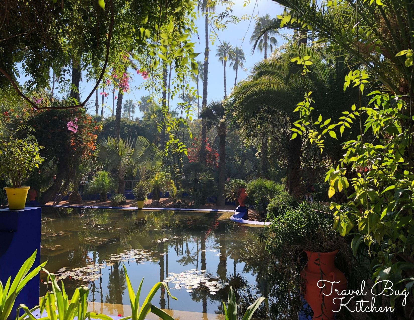 Jardin Majorelle