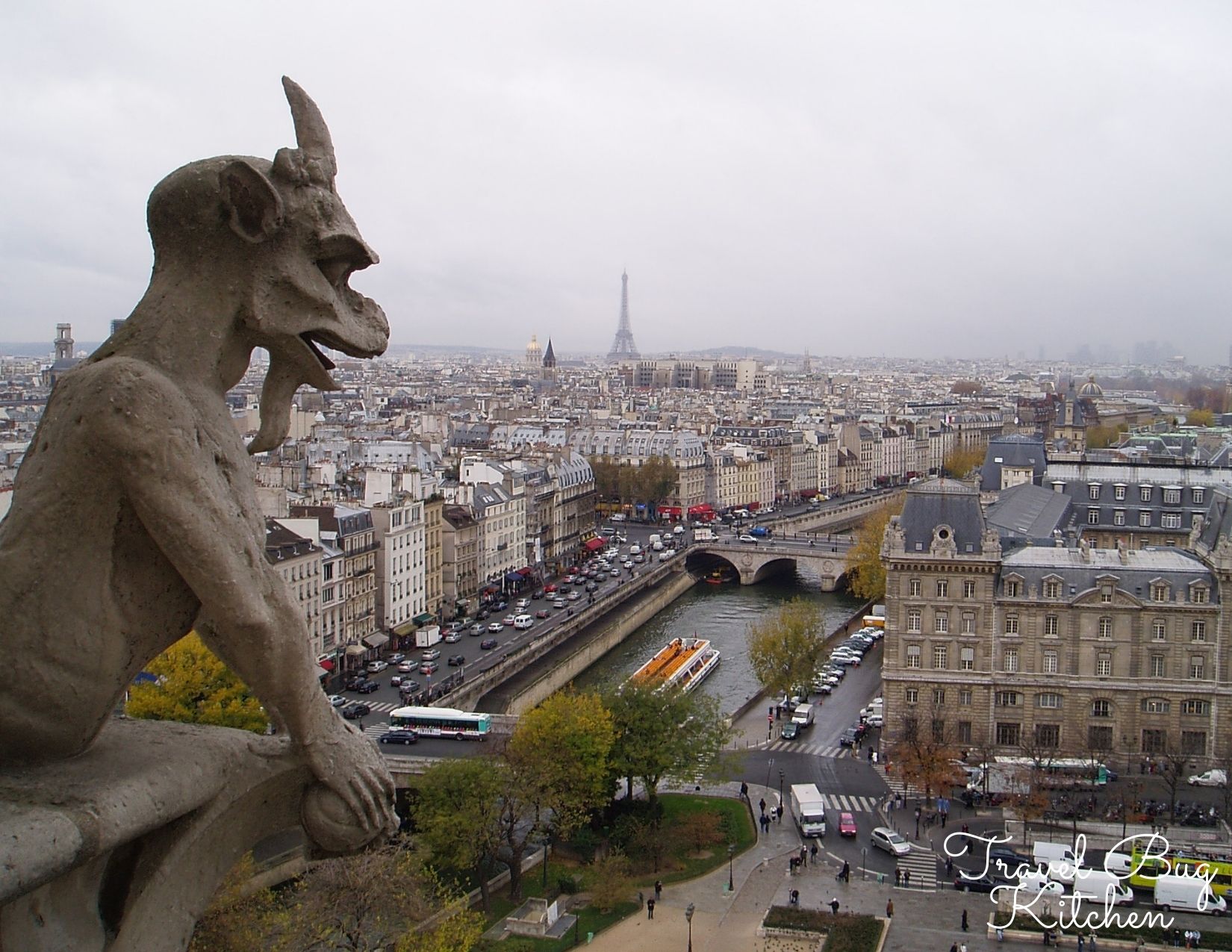 Gargoyle at Notre Dame